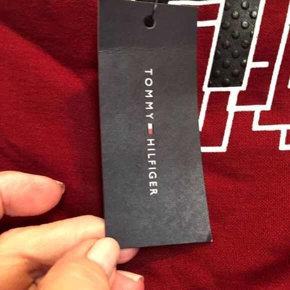 TOMMY HILFIGER KIDS - NWT Todder Boys Size 4 TSP Fast Break LS Pullover Hoodie♥️ - Picture 8 of 13